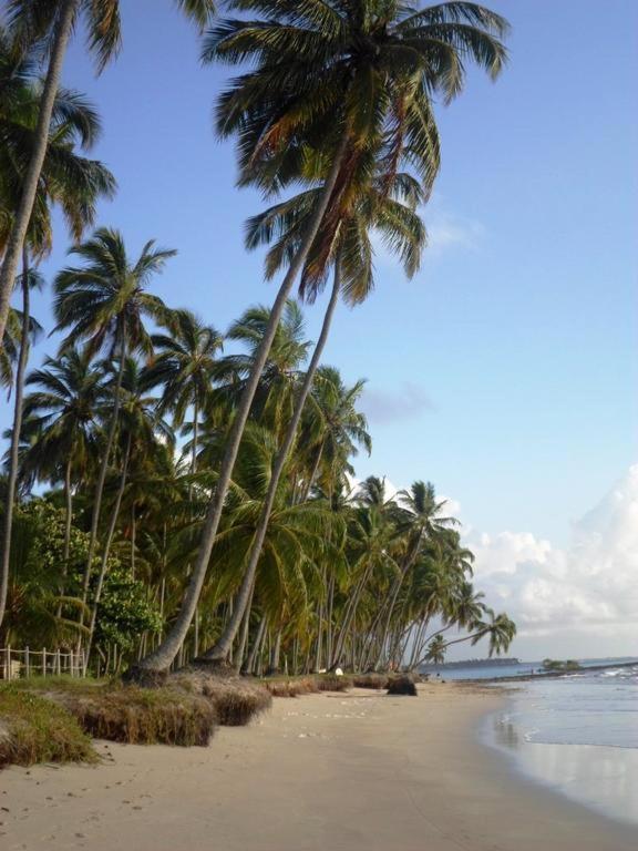 Carneiros Beach Resort Tamandaré Flat Exterior foto